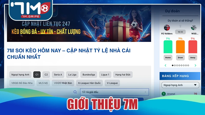 Giới thiệu 7M