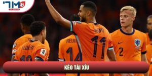 Kèo Tài Xỉu Và 3 Quy Luật Bất Biến Làm Chủ Bảng Điện Tử