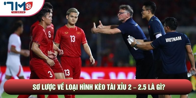 Sơ lược về loại hình kèo tài xỉu 2 – 2.5 là gì?