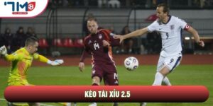 Kèo Tài Xỉu 2.5 Và 3 Bí Quyết Đọc Vị Biến Động Sàn Đấu