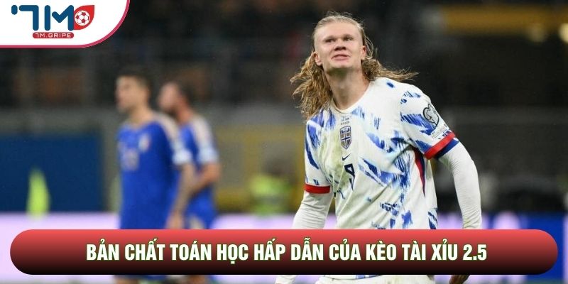 Bản chất toán học hấp dẫn của kèo tài xỉu 2.5
