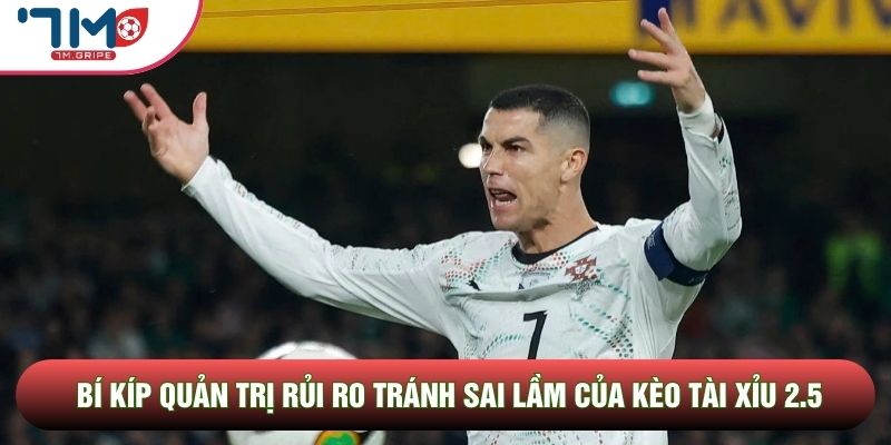 Bí kíp quản trị rủi ro tránh sai lầm của kèo tài xỉu 2.5