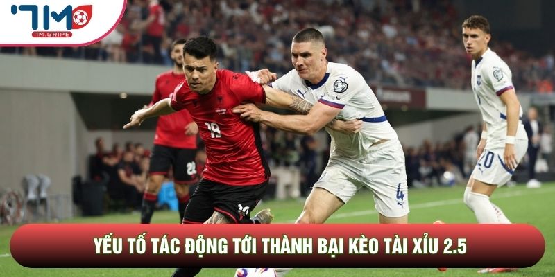 Yếu tố tác động tới thành bại kèo tài xỉu 2.5