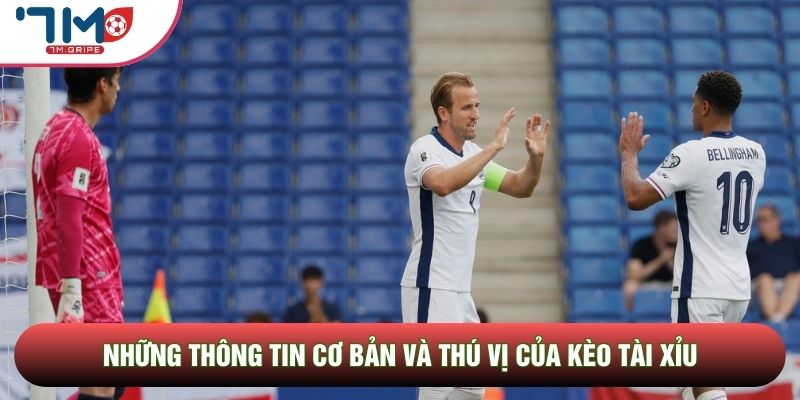 Những thông tin cơ bản và thú vị của kèo tài xỉu